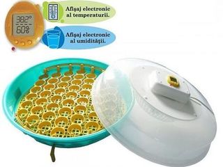 Инкубатор 70 яиц Puisor IO-103TH/Incubator 70 ouă/Garantie/Livrare Gratuita/1200 lei фото 1