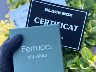 Ceas Ferrucci - Original cu garantie 12 luni  foto 2