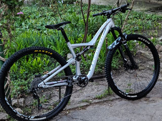 Specialized rumor comp fsr