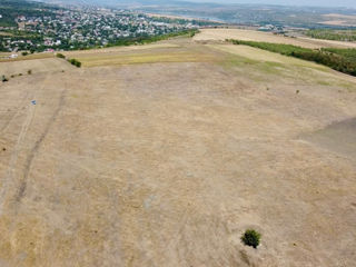 11 hectare consolidate Ialoveni s. Sociteni foto 4