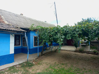 Продается дом в селе Валя Пержей, р. Тараклия foto 4