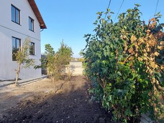 Duplex, Varianta alba, 130 mp. foto 4