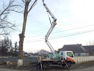 Tăierea copacilor înclinați sau deteriorați- cu masini si echipamente speciale .Calitatea garantată foto 2