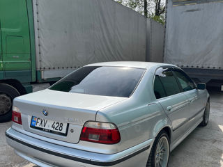 BMW 5 Series foto 7