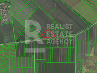 Vânzare, teren agricol, 2 ha, Băcioi
