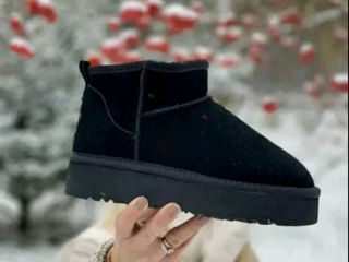 Ugg de iarna in cutie