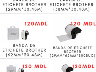 Imprimanta etichete Brother Bluetooth/Wireless foto 3