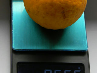 Лимон морозостойкий "Lemon-Bitter" -30C foto 11