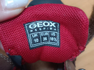 Geox Ghete foto 3