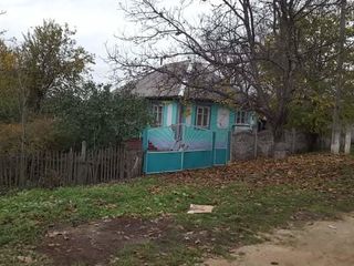 Se vinde casa in satul Alexandru cel bun, SOROCA foto 4