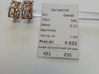 Cercei 585* 3.12gr 4025 lei