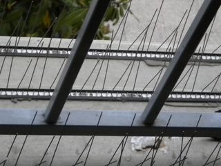 Protectie impotriva pasarilor- instalare , servicii auto turn... foto 5