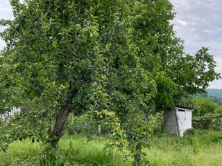 Casa in loc pitoresc, linistit si usor accesibil foto 3