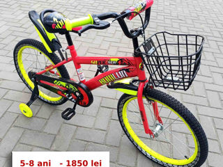 Biciclete foto 16