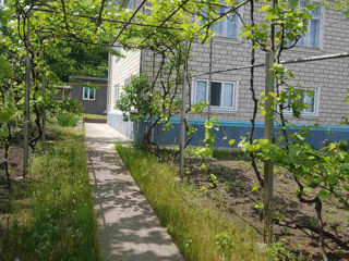 Casa de locuit cu teren aferent s. Tarigrad, r-nul Drochia. foto 3