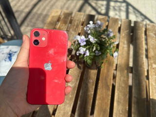 Iphone 12 mini (product) red 5055 lei