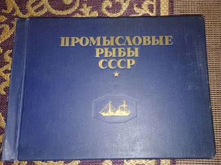 Продам альбом Промысловые рыбы СССР 1949 года foto 1
