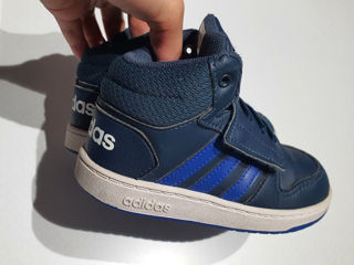 Adidas ,ideali