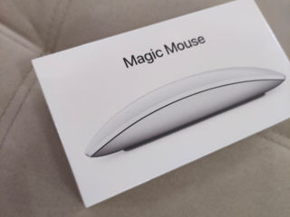 Magic mouse    MK2E3Z/A