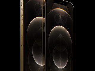 iPhone 12 Pro Max 256 GB GOLD
