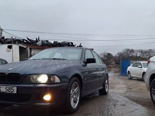 BMW 5 Series foto 3