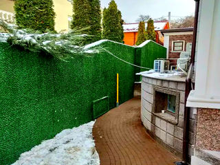 Plasa Rabița cu iarba verde artificiala. foto 8