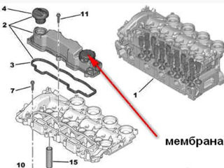 Мембрана сапуна клапанной крышки FORD 1,6HDI foto 2