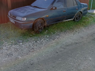 Nissan Sunny foto 2