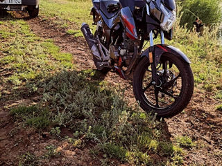 Viper Andess 200cc foto 4