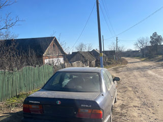 Nissan Primera foto 3