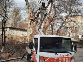 Servicii de defrisări - orice complexitate si orice înălțime! foto 10