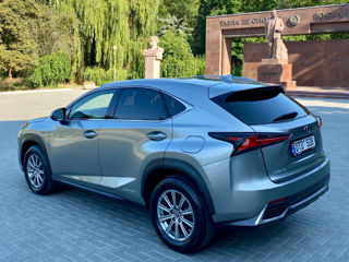 Lexus NX Series foto 3