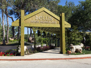 Bellis Deluxe Resort 5* foto 2