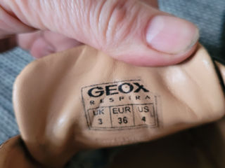 Geox  р 35-36 foto 7