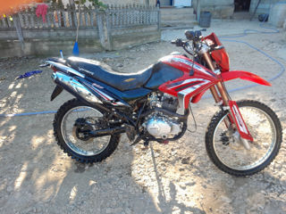 Viper Enduro foto 3