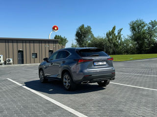 Lexus NX Series foto 3