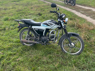 Viper Rx110 foto 7