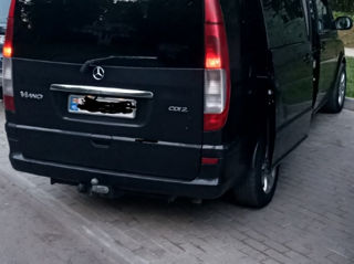 Mercedes Viano foto 7