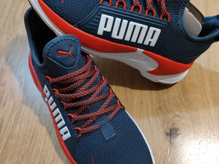 Puma foto 4