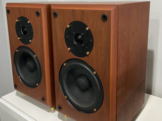 Акустика Sabre by Ruark Acoustics foto 3