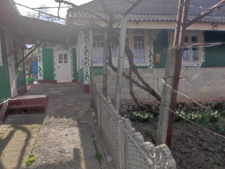 Vind casă în satul Elizavetovca foto 1