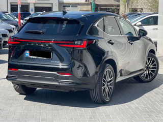 Lexus NX Series foto 4