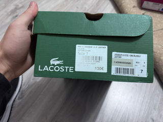Adidas timberland lacoste Boss foto 8
