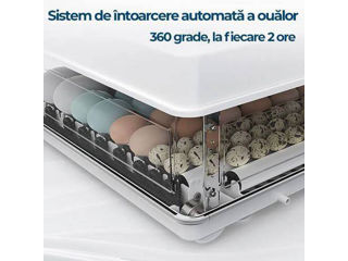 Incubator MS-130 foto 2