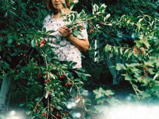 Продается дача под Новыми-Аненами, 12 сот , есть сад, рядом эл.линия foto 2