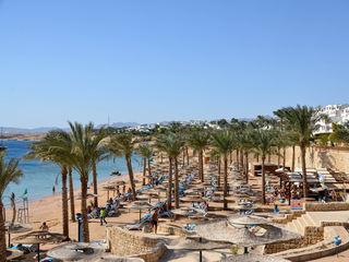 Continental Plaza Beach & Aqua Park Resort 5*.Большая  территория с красивым коралловым рифом!!! foto 10