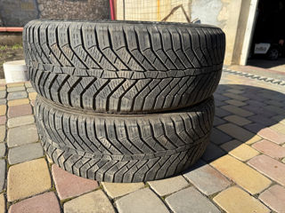 205/55 R17