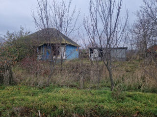 Vind casa 100m2 in satul Baroncea ce necesita reparatie situata pe 0.12 ari foto 5