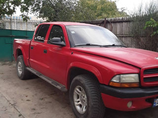 Dodge Dakota foto 3