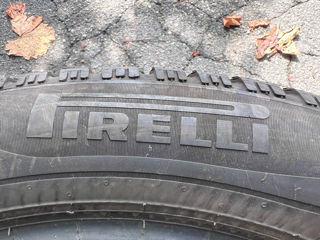 R19 225/55 Pirelli Winter Scorpion foto 5